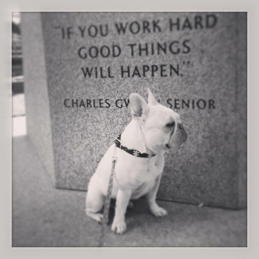 Meet your Posher, Nessa